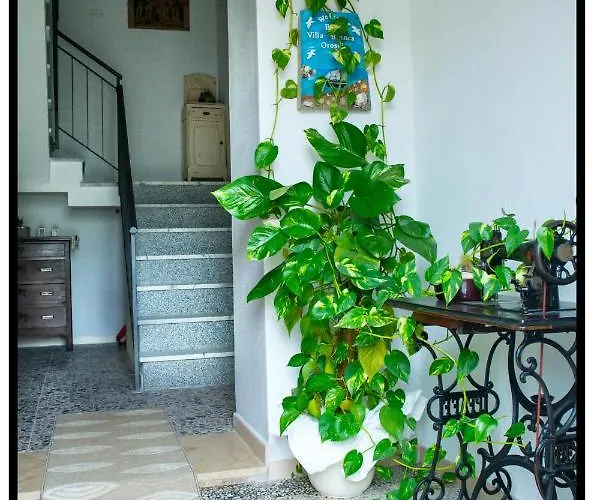 Bed & Breakfast Bianca 3*