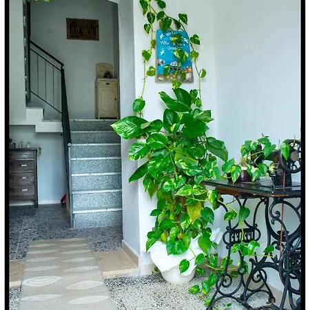 Bed & Breakfast Bianca *