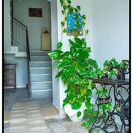 Bed & Breakfast Bianca 3*