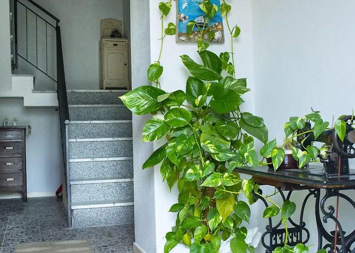 Bianca Bed & Breakfast Orosei